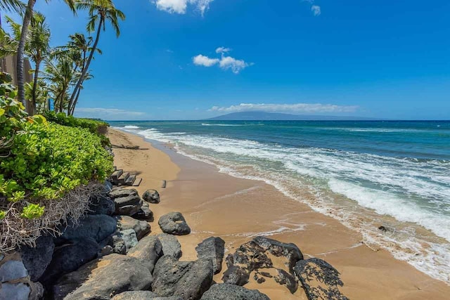 water view featuring a beach view