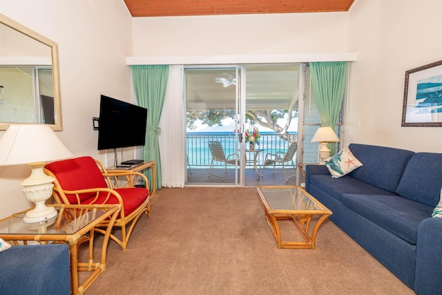 view of carpeted living room