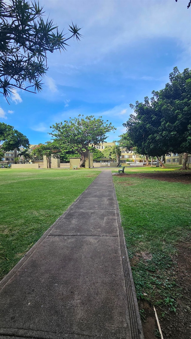 view of home's community with a yard