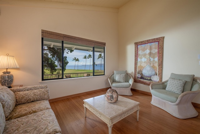 living area featuring baseboards, wood finished floors, and high vaulted ceiling
