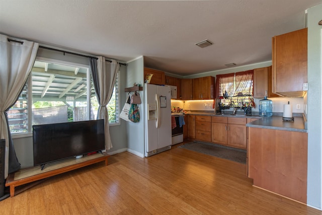 kitchen with plenty of natural light, white appliances, wood finished floors, and visible vents