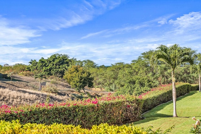 view of community with a lawn