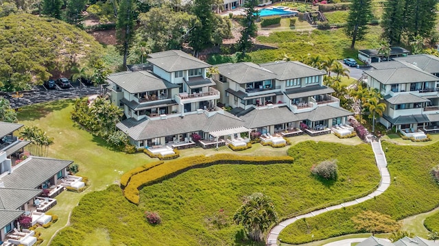 drone / aerial view