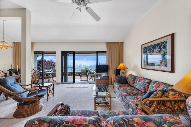 living area featuring ceiling fan and carpet