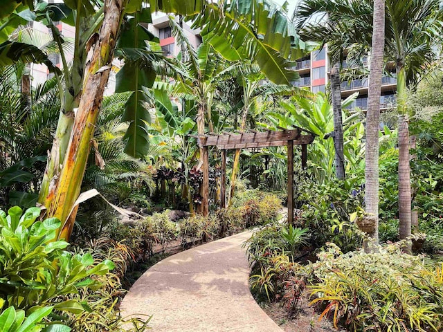 surrounding community featuring a pergola