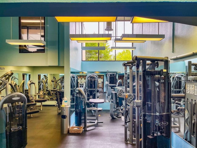 exercise room with a towering ceiling