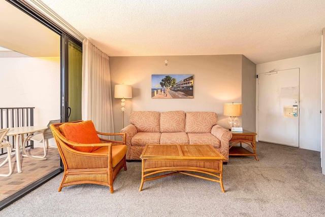 living room featuring carpet flooring and a textured ceiling