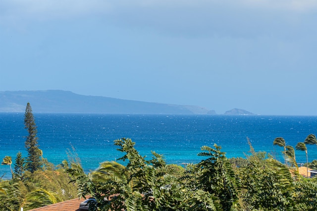 view of water feature with a mountain view