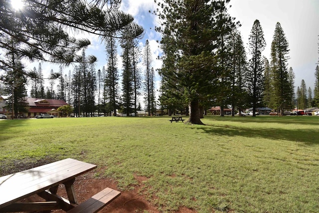 view of community with a lawn