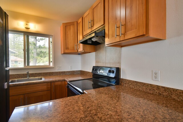 kitchen with sink and black / electric stove