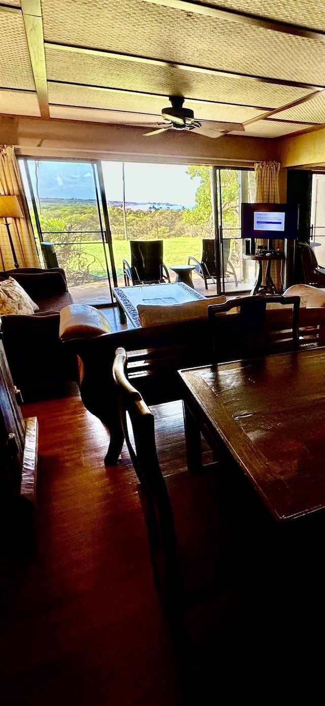 dining room with plenty of natural light, hardwood / wood-style floors, and ceiling fan