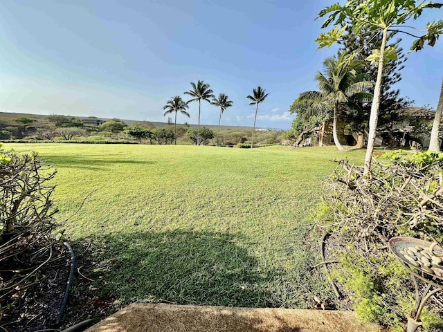 view of yard featuring a rural view