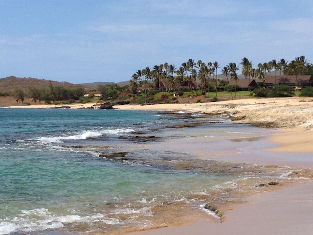 water view featuring a beach view