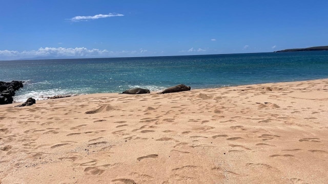 view of water feature with a beach view