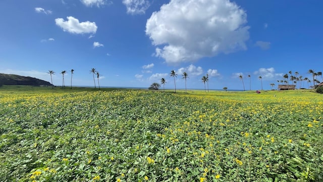 view of yard featuring a rural view