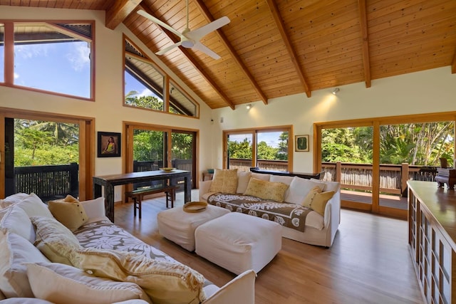 living room featuring ceiling fan, high vaulted ceiling, a wealth of natural light, and wood-type flooring