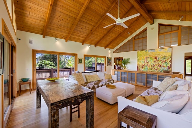 interior space featuring light hardwood / wood-style flooring, high vaulted ceiling, and a wealth of natural light