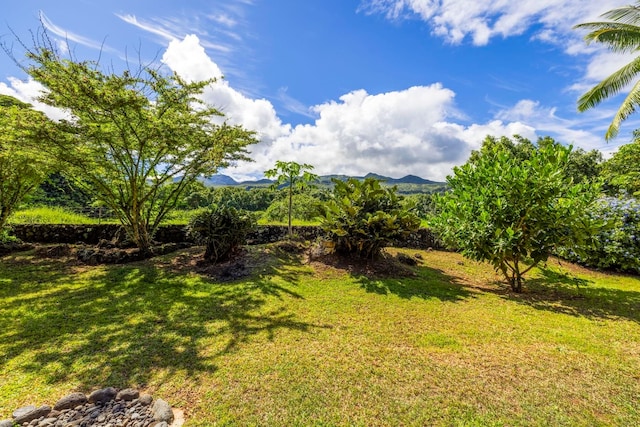 view of yard featuring a mountain view