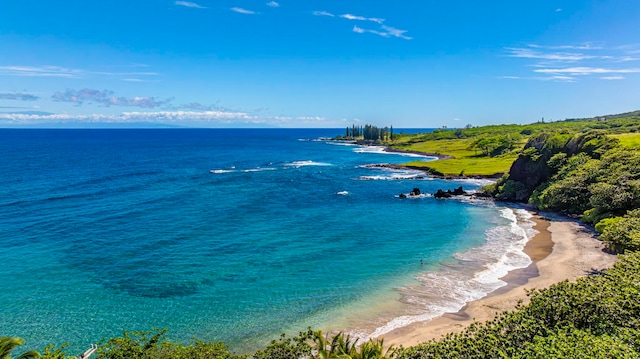 property view of water featuring a view of the beach