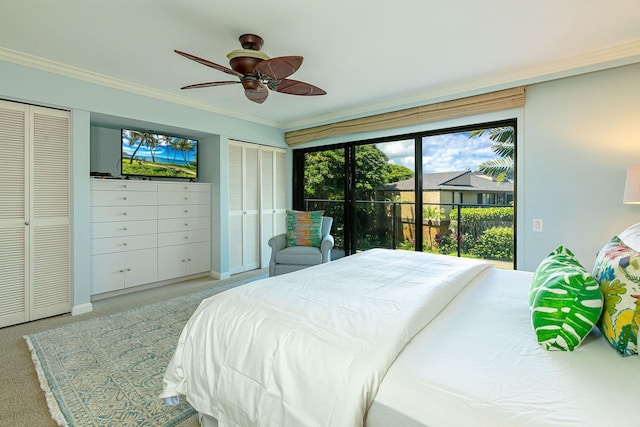 carpeted bedroom with access to exterior, two closets, ceiling fan, and crown molding