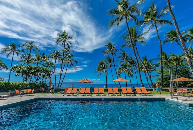 view of swimming pool with a patio area