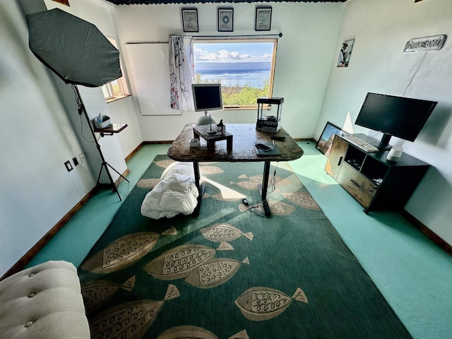 view of carpeted living room