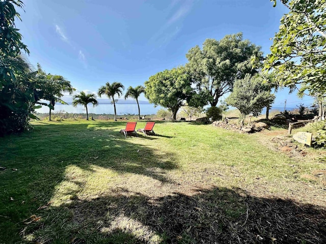 view of yard with a water view