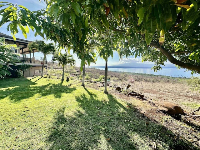 view of yard with a water view and a rural view