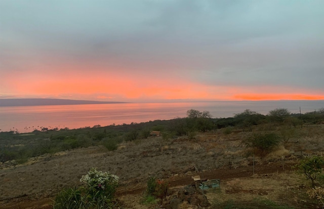 nature at dusk with a water view