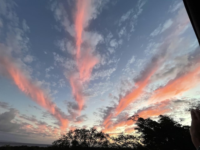 view of nature at dusk