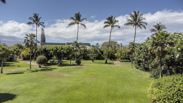 surrounding community featuring a lawn