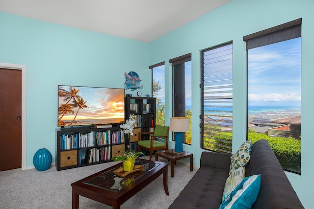 interior space featuring carpet flooring