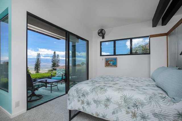 bedroom featuring carpet floors and access to exterior