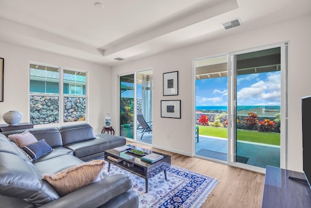 living area featuring light wood finished floors, a tray ceiling, and baseboards