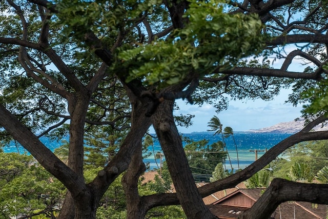 water view featuring a mountain view