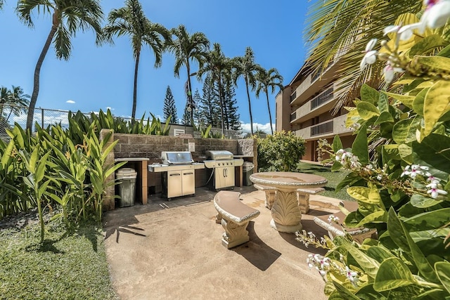 view of patio / terrace with a grill