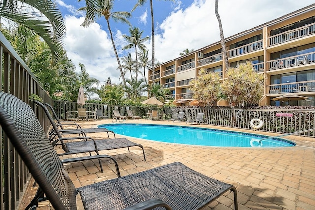 view of swimming pool featuring a patio area