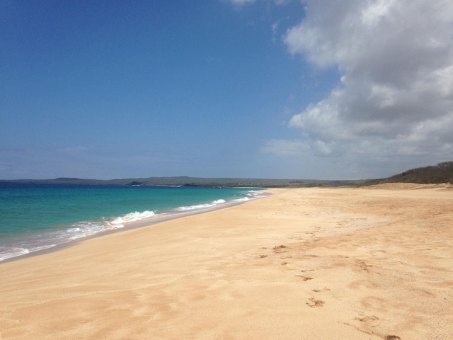 property view of water with a beach view