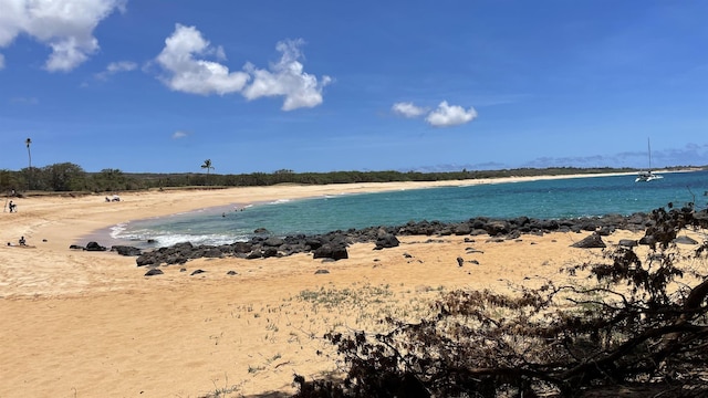 property view of water with a beach view