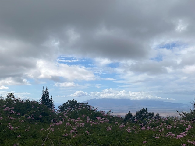 view of landscape with a mountain view