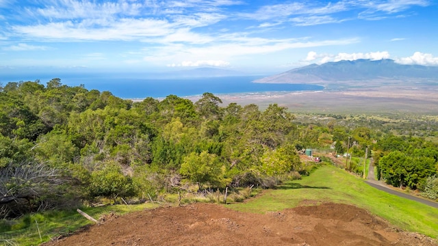 bird's eye view with a mountain view