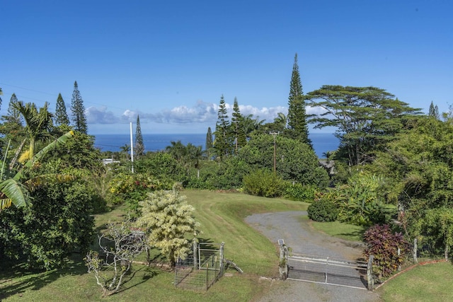 view of property's community with a lawn and a water view