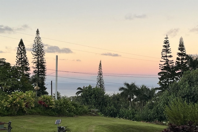 view of yard at dusk