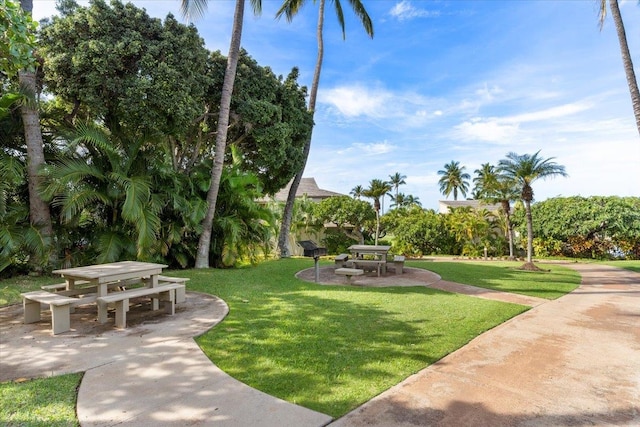 view of community featuring a lawn