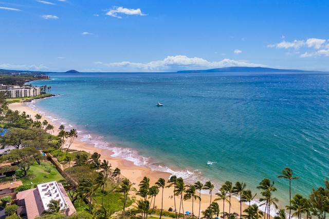 view of water feature with a beach view