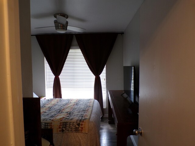 bedroom featuring dark hardwood / wood-style floors and ceiling fan