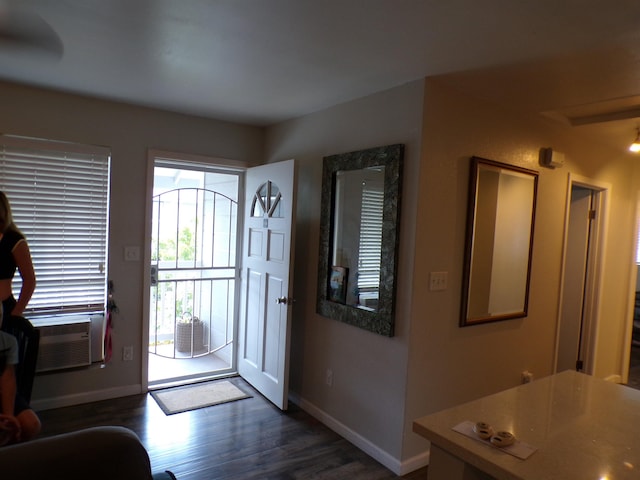 foyer featuring dark hardwood / wood-style floors