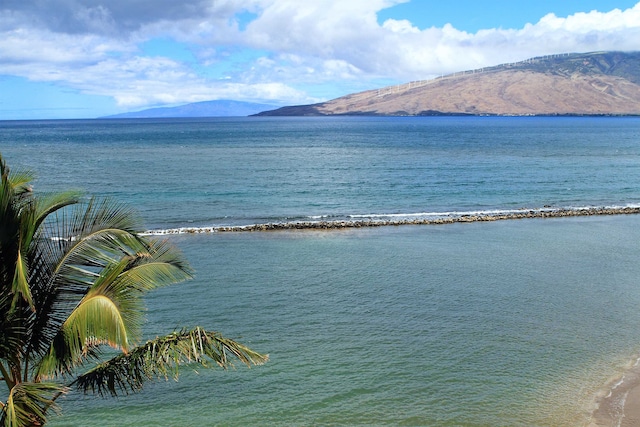 water view featuring a mountain view