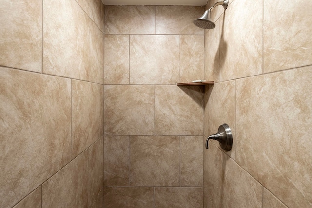 room details featuring tiled shower