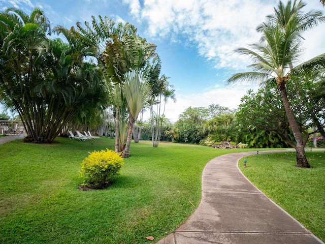 view of home's community with a yard